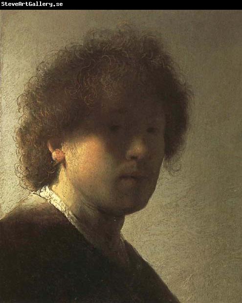 Rembrandt van rijn Self-Portrait as a Young Man